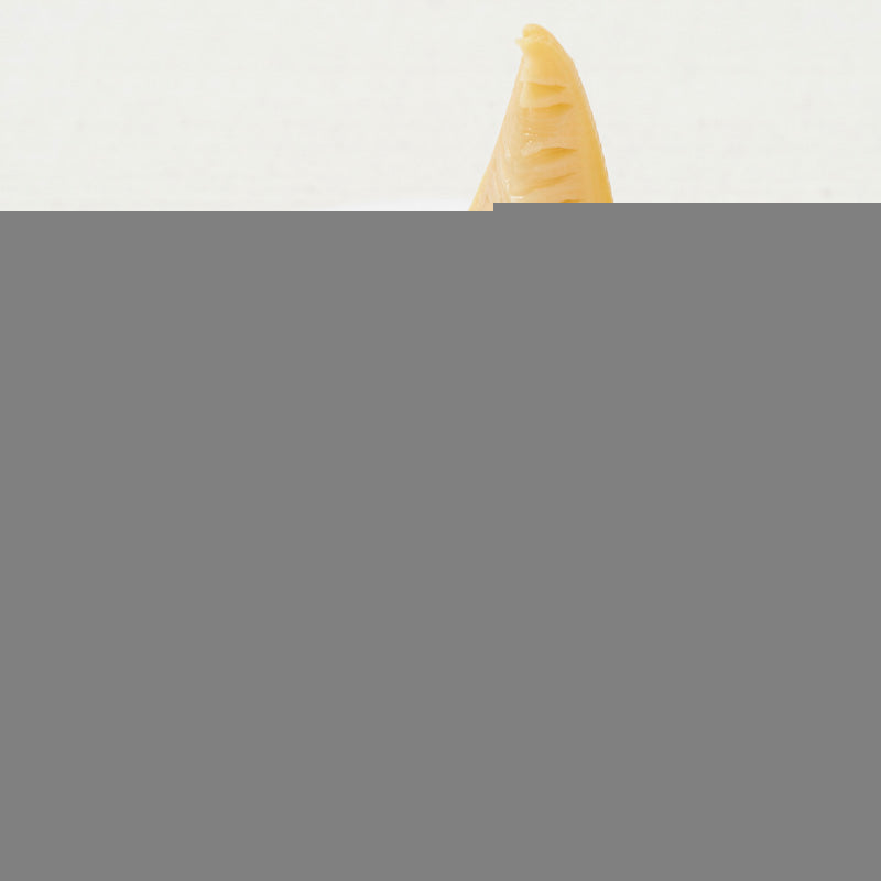 Kyoto Pickles Mori Bamboo shoots pickles, Authentic Japanese Tsukemono - 120g (4.2oz) x 3Pack (360g / 12.7oz total)