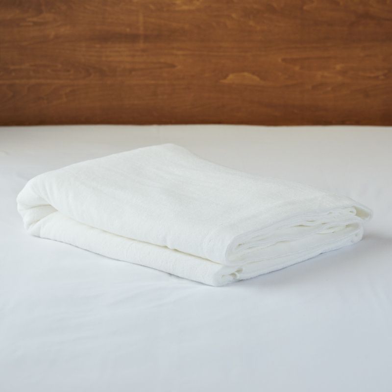 IKEUCHI ORGANIC. Towel Blanket ""ORGANIC 140"".225cm×225cm,Imabari  Japan