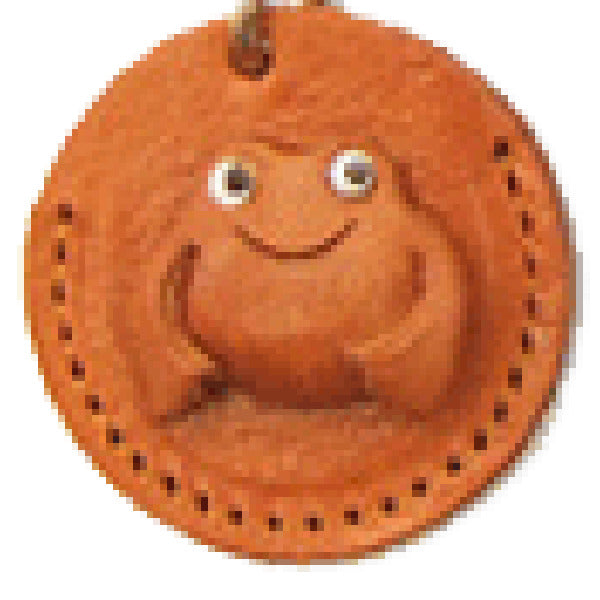 Frog Japanese Leather Cellularphone Charm Coin cases #46445