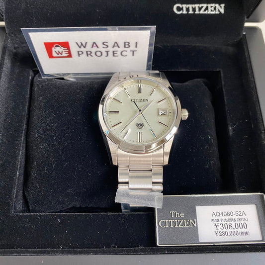 CITIZEN AQ4080-52A Unused Eco Drive Sapphire glass Old Silver SS Men Wrist watch