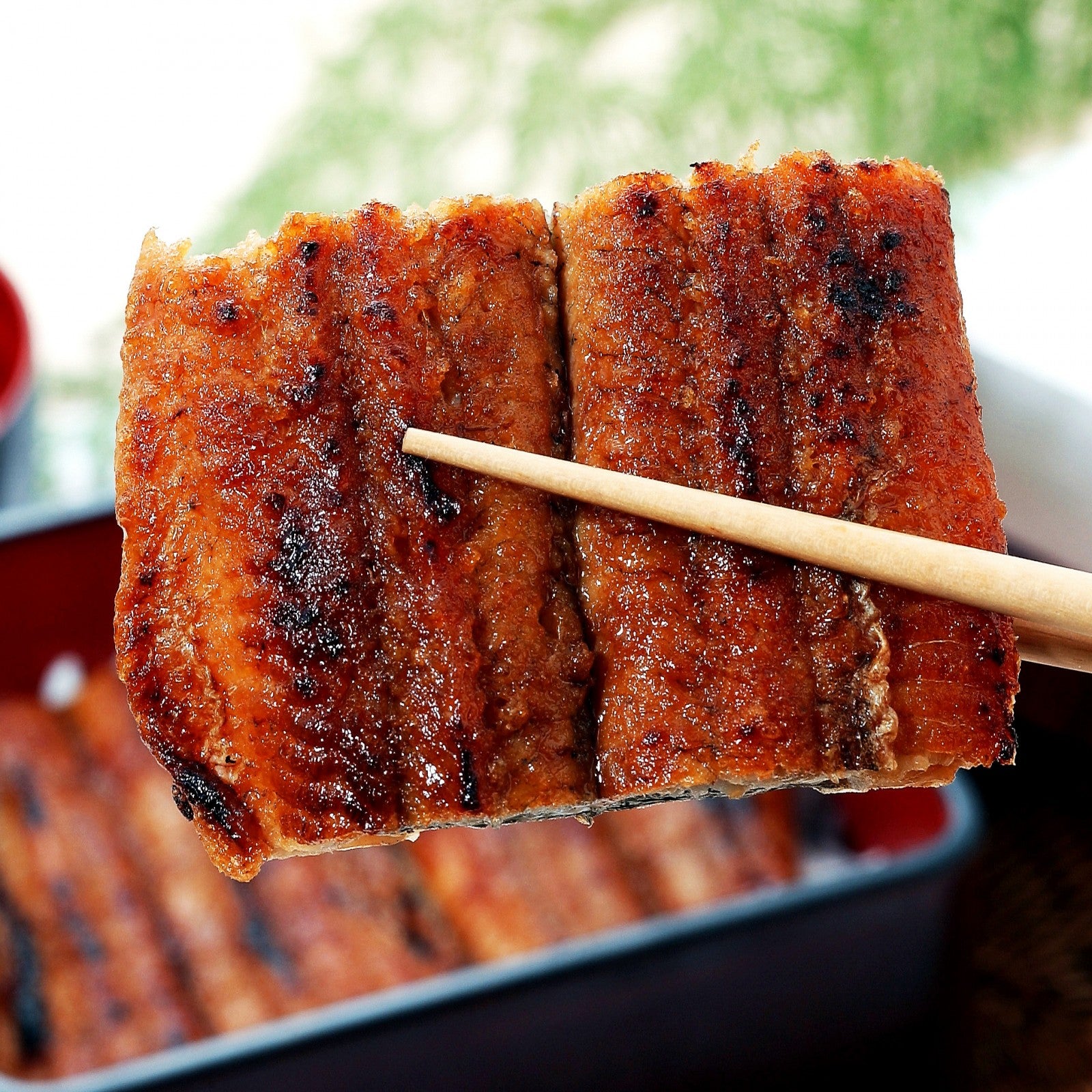 Japanese unagi served over rice at home