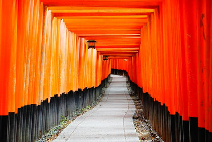 Kyoto Nishijin Sharaku fabric frame Traditional Crafts KYOTO KAHO